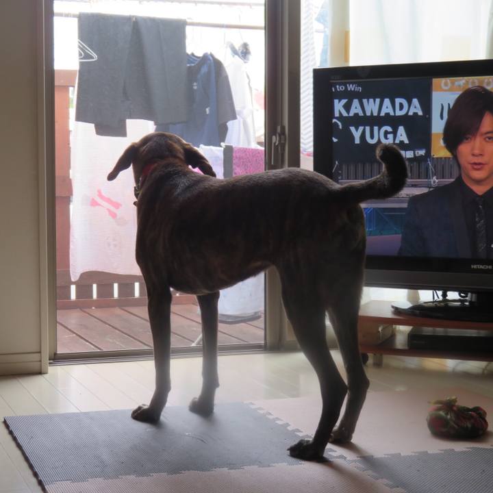 5897c34c 8984 4c42 82f3 d5c30753a5d0 1559830836535