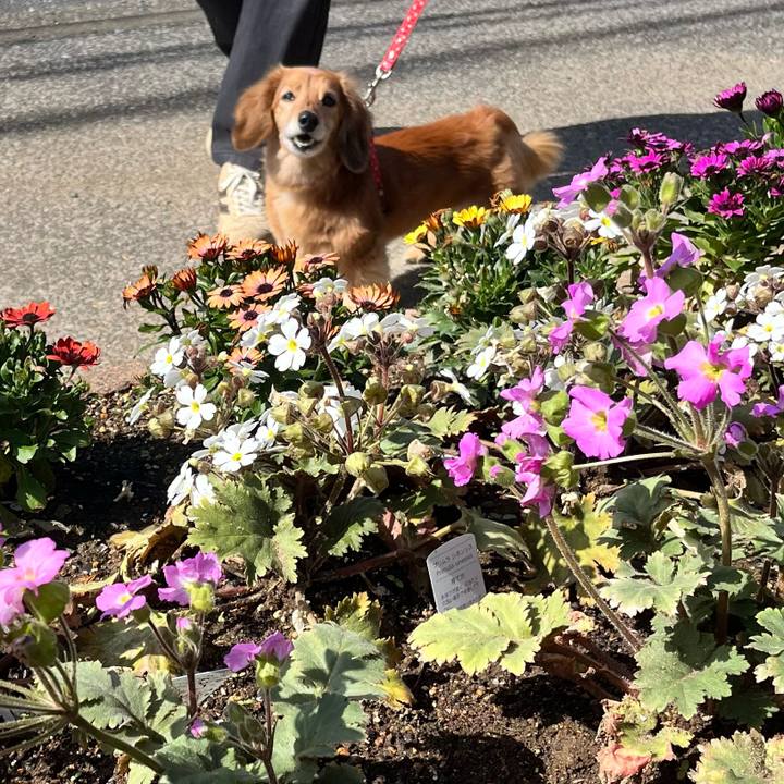 5897cdb4 a769 49e2 b96b c82cbf3089a2 1647856342991