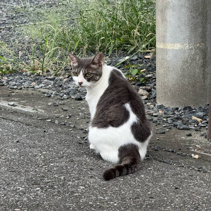 5897f25a 1c69 4505 8c1f 214c1cd2b341 1752547163184