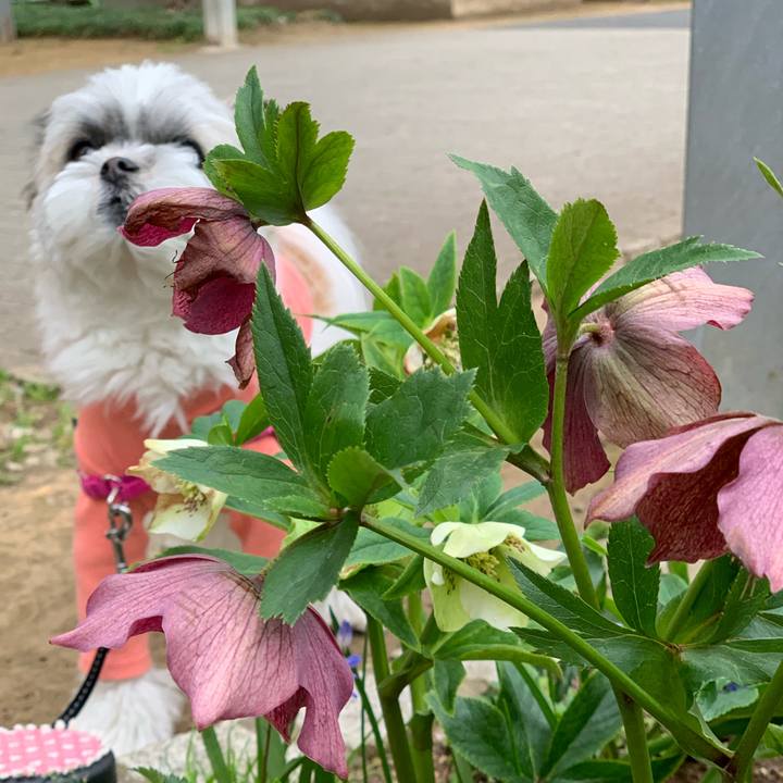 5897fb8a fdcd 4577 b4fc 2d83b982123c 1553568941501