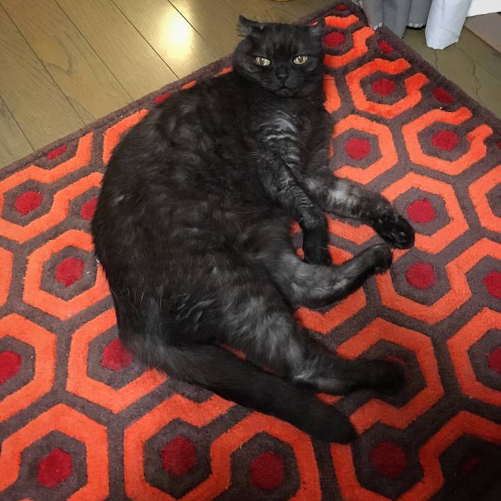 58980ee5 d963 4940 abed 86c948ed2cdb 1567526330677