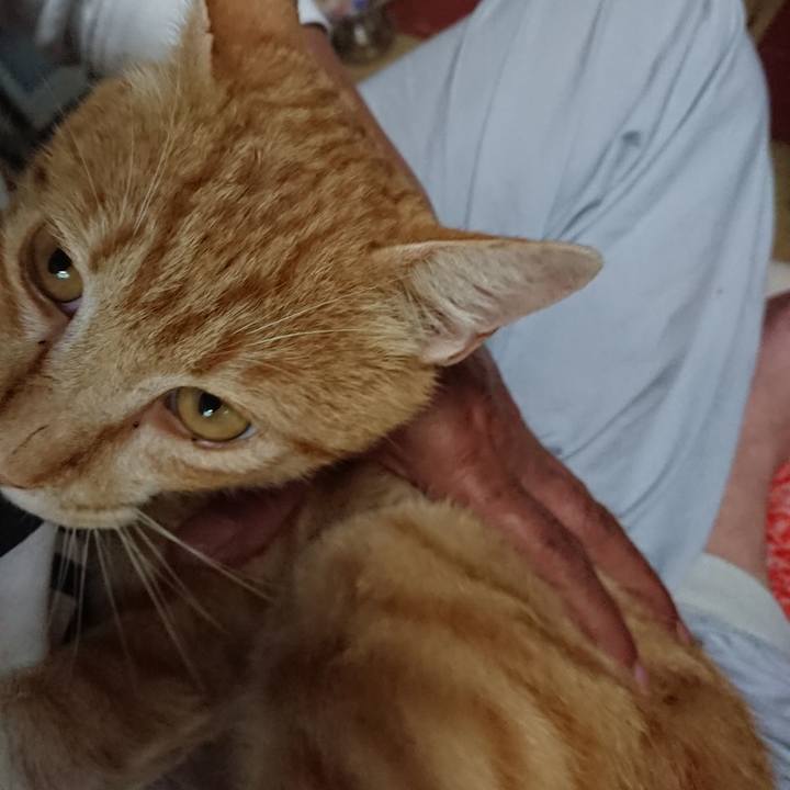 58983c56 9a4a 4e01 b0c9 39e83e13e9ee 1561502577630