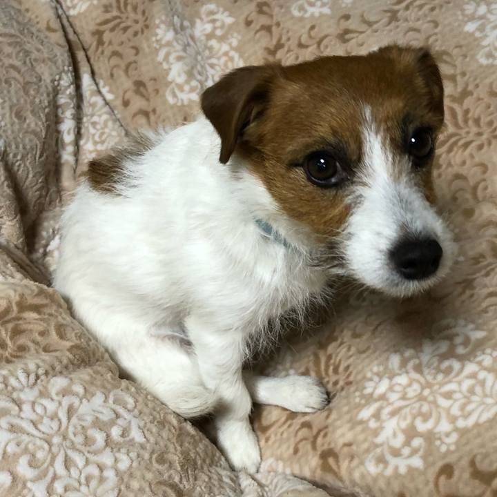 58984b05 db6d 4852 a4b4 78bf708a12c5 1519558554682