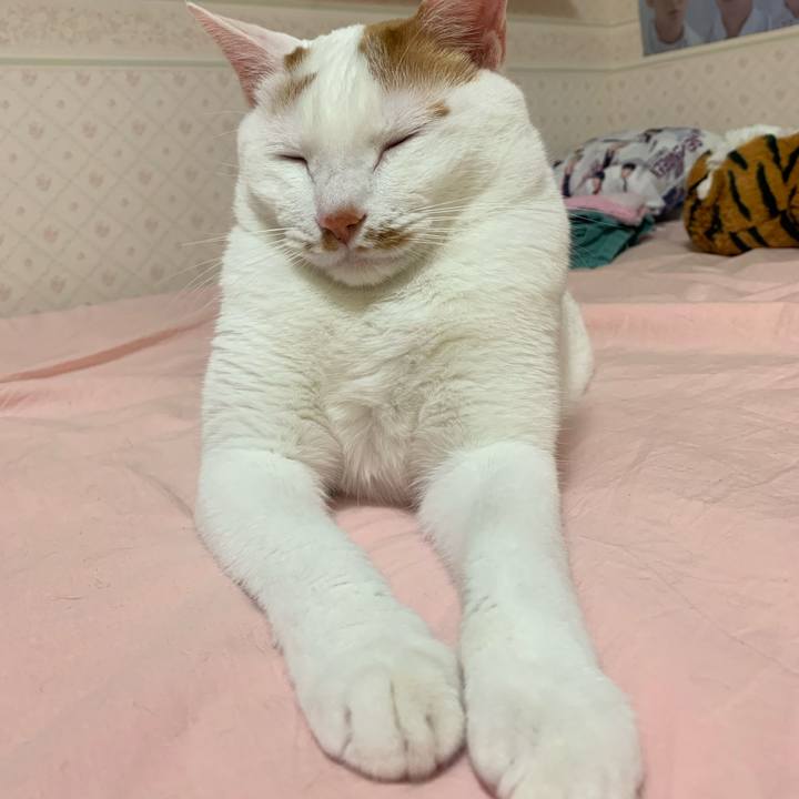 58986efb e635 4813 85d0 28b7b474a36a 1588692557270