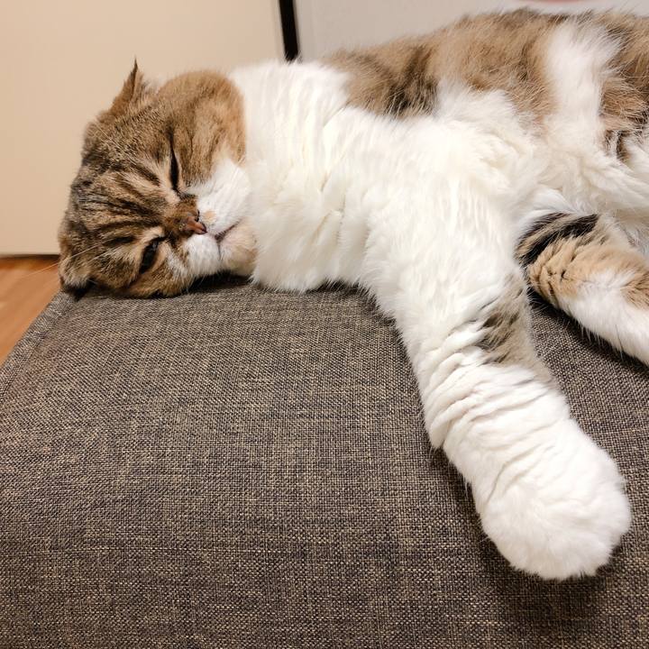 58987e4e a216 4bf0 84b9 aa5ed4531d20 1597376883302