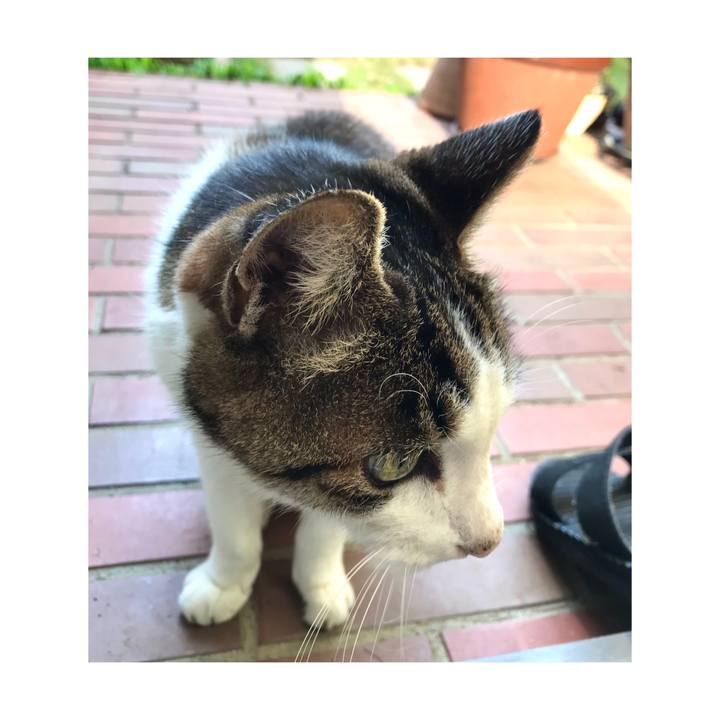 58991003 19f5 4680 8139 c26d6170804c 1636972932075