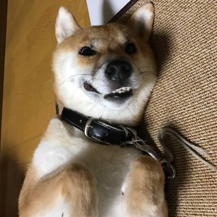 589918fb 9056 4844 9af5 ff89f19d405f 1538898807966