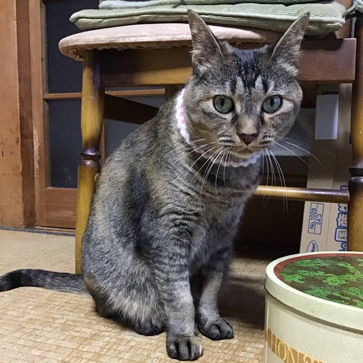 58993586 f658 4b6f b6ba c790d25a74cc 1690028555459