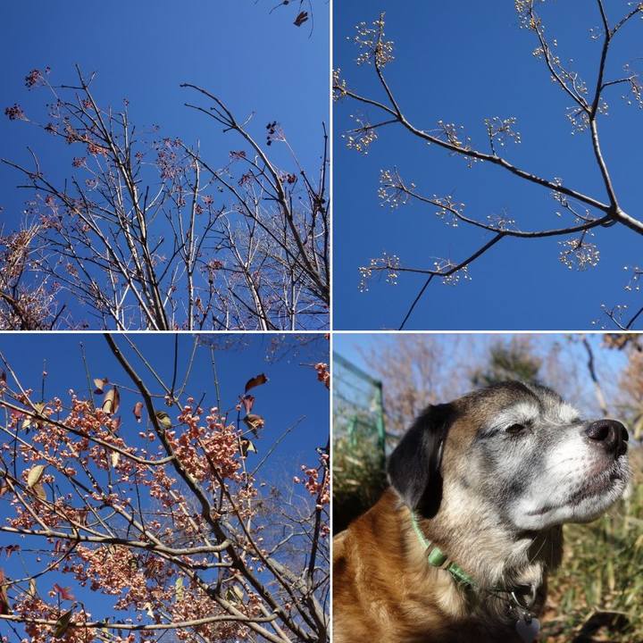 58993cbf 39ef 48ca 8086 e4eec03332a3 1546480684037