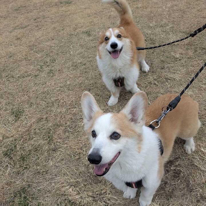 5899652b cad9 4194 935e d1fcc4b49afc 1768090845373