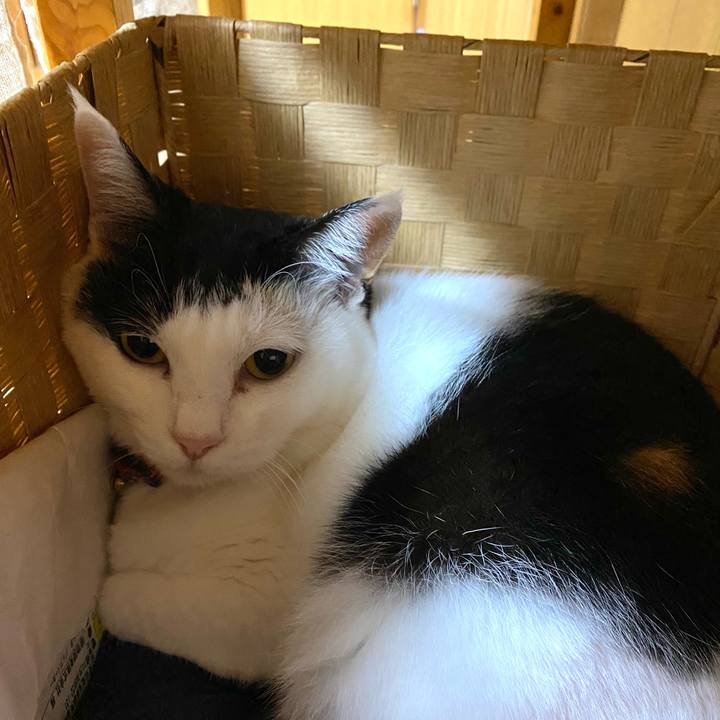 58997c5f 461a 4ff1 9a04 0c45d3ad8477 1714830306668