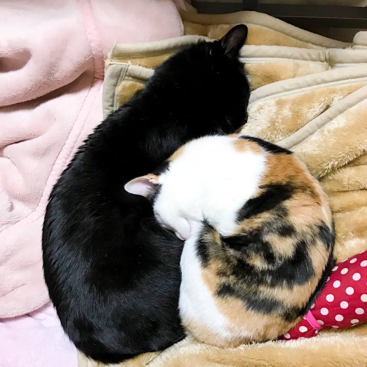 589985a7 90fa 47b2 aadd 8890baaa35a7 1516502450281