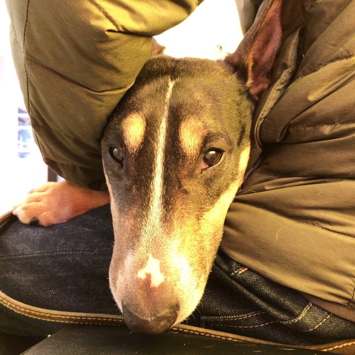 5899b962 8d1e 4229 bee8 3d1cd192c51d 1518402488571