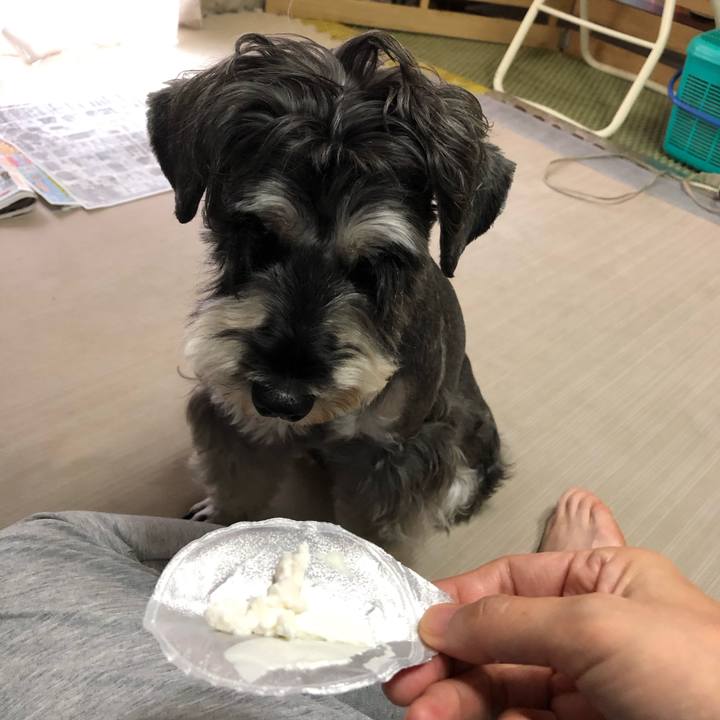 5899e4bc 8d29 4a06 999f b8d2c398585f 1631323990992