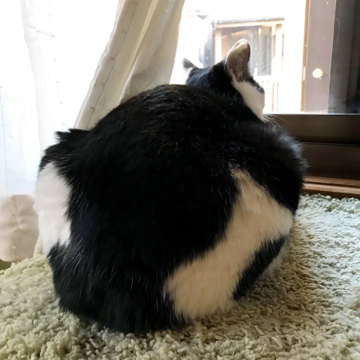 5899f93f 830b 4d4f a1bc 75c9ff252a50 1517496465500