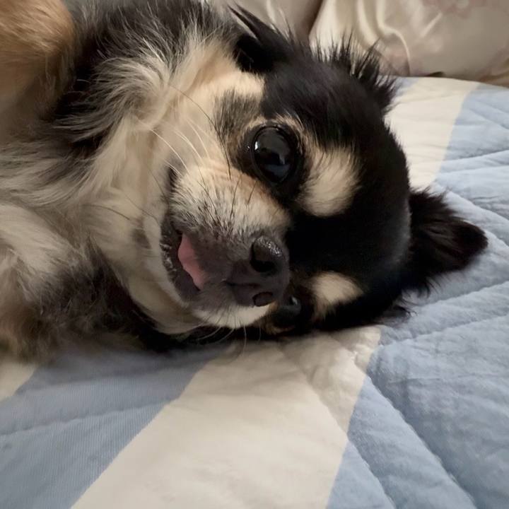 5899fb2c 212c 481b 9c58 a725f3ae3960 1751759711997