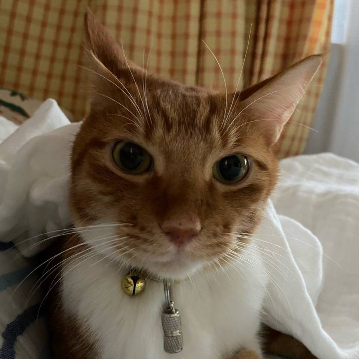 589a06d1 296b 4c0f 90a3 4e87fc991714 1602057741863