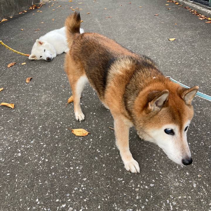 589a225b acd1 4843 9370 2a5d63dac6d1 1729123787431