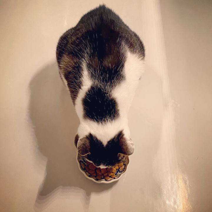 589a8c2f fbd6 42a4 af32 742310731063 1582989417507