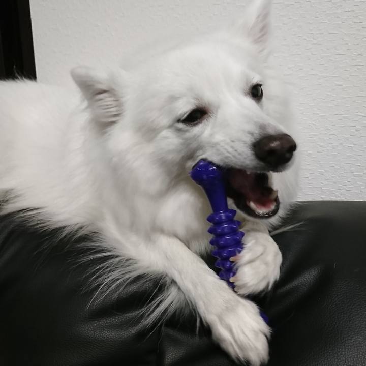 589aa058 1e17 41f9 ad36 79a9a7a95bd2 1549291438821