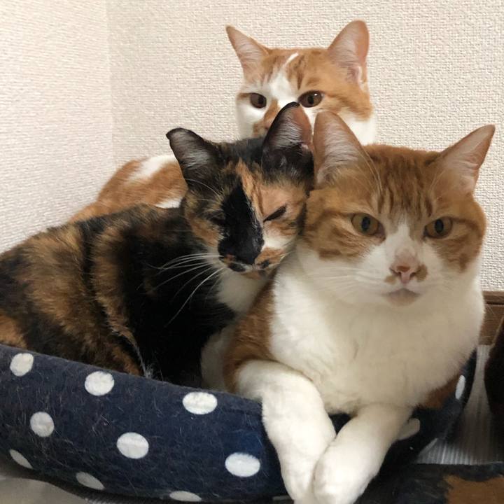 589ab6f2 1ae3 4ddd a01f f2411a704cf9 1613473965654