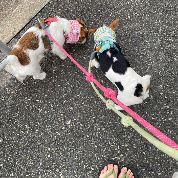 589ad7c2 4bad 4def b867 f810e1bdf509 1755036497921