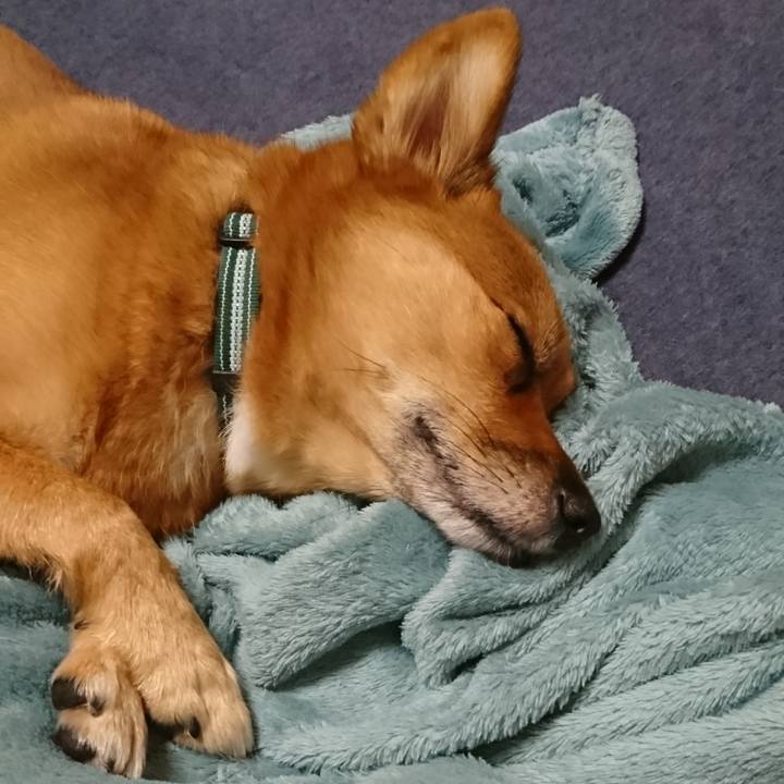 589b0270 8383 437e a0fd dd4ee2738add 1540219521008