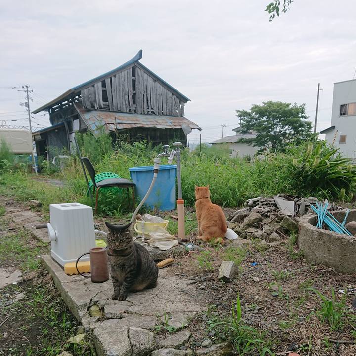 589b9875 f4f8 48ae a1f4 fc6c5308843b 1661424831338