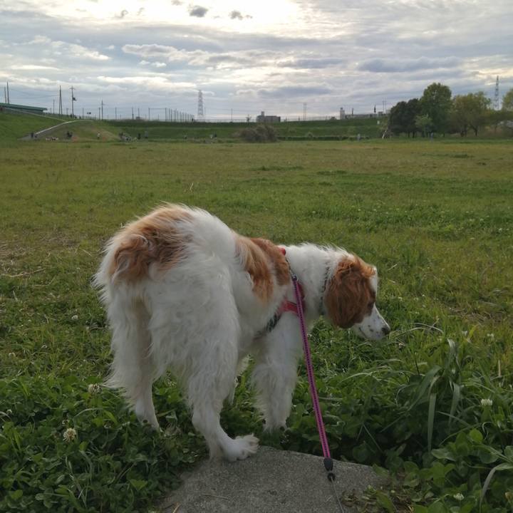 589bb02a 96b1 4851 aa5a edb862894b78 1587303857403