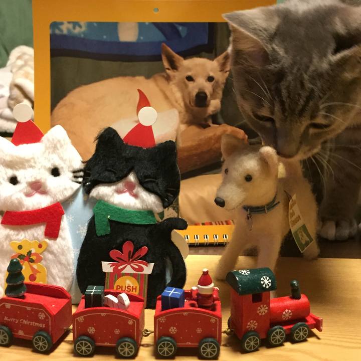 589bd5b1 e406 46a4 9bbb 6d5d7c76d3d7 1545566618970