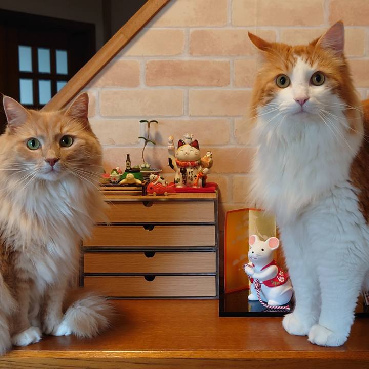 589c08a9 aa97 41af ad28 64446dcb2163 1594385797476