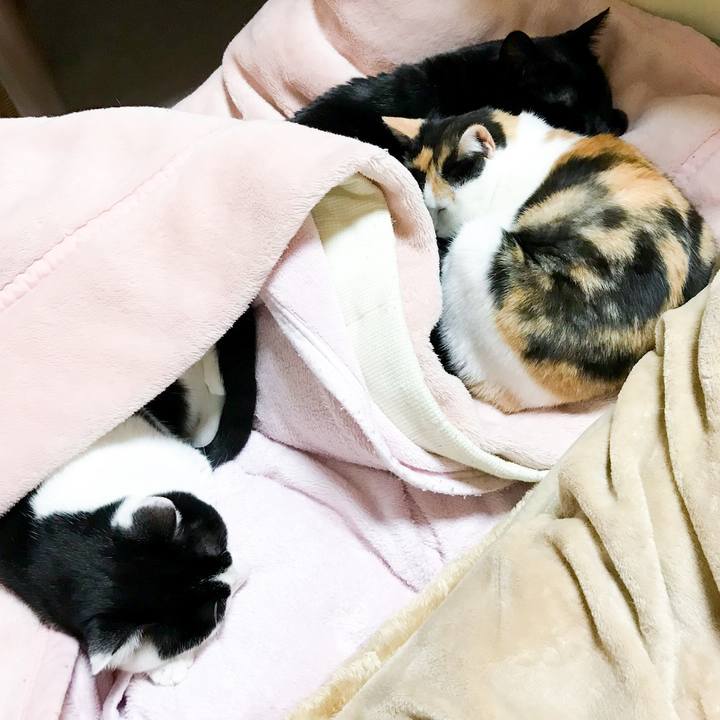 589c1ec4 3982 49b1 98ca 2c7e7188d13a 1514722377384