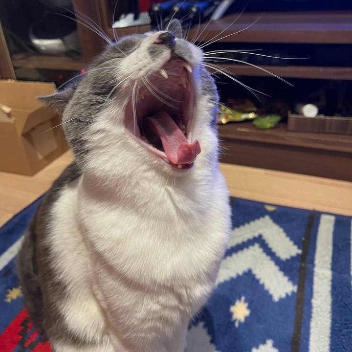 589c3da2 7578 4f91 853c a25df4ec82e7 1662639993601