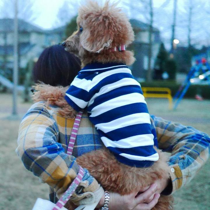 589c4376 fdbe 4b68 bf50 46500ded0e52 1521187565623