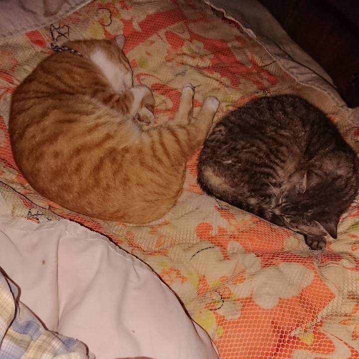 589c8744 1f98 4797 afe0 d2bba9523201 1570027283525