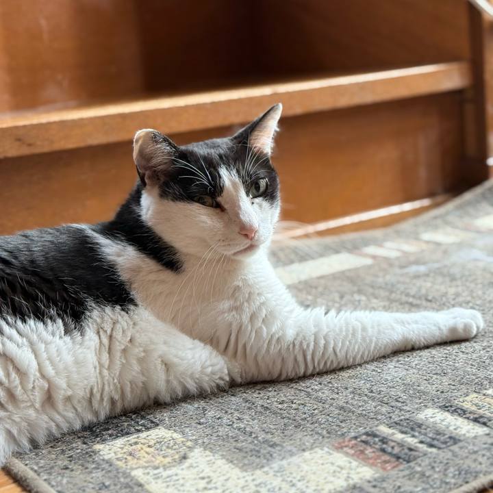 589c88df 87fc 4220 a5b5 079b57166c90 1750296424884