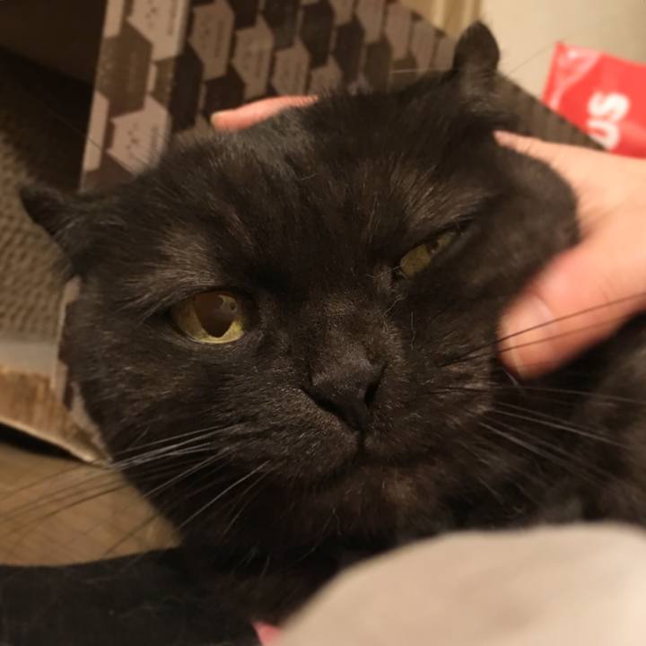 589cea78 e15b 45a1 90c0 2787828ac6ce 1538148751061