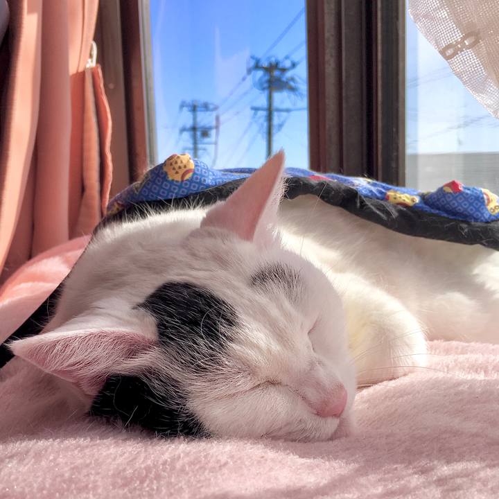 589cefad 6c4c 44a9 8940 2e082902d331 1574141186966