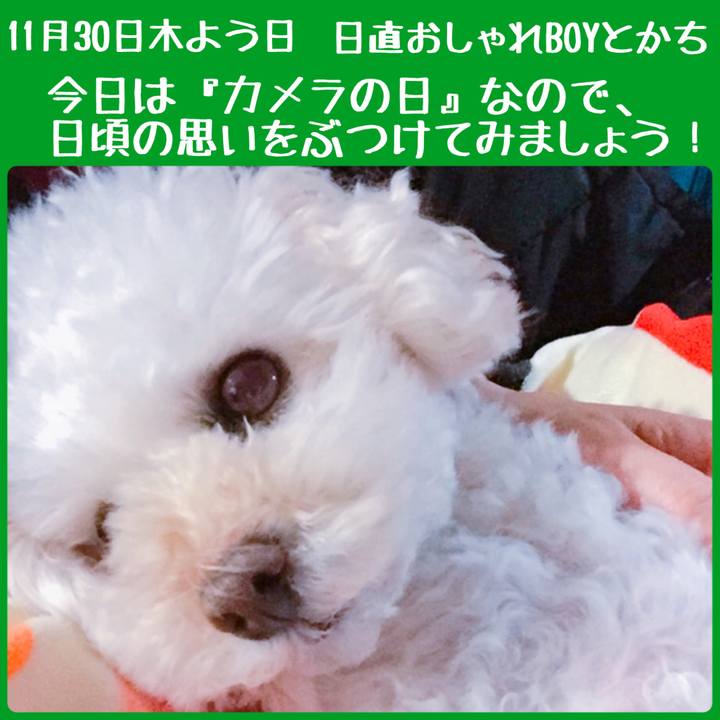 589d08e1 416b 4bd0 93db 02eae64e2aa8 1512017958933