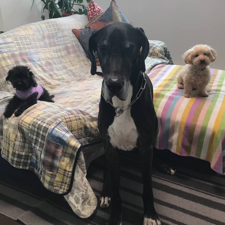 589d187a c4f9 49a9 b109 04562b78ff70 1529621404561