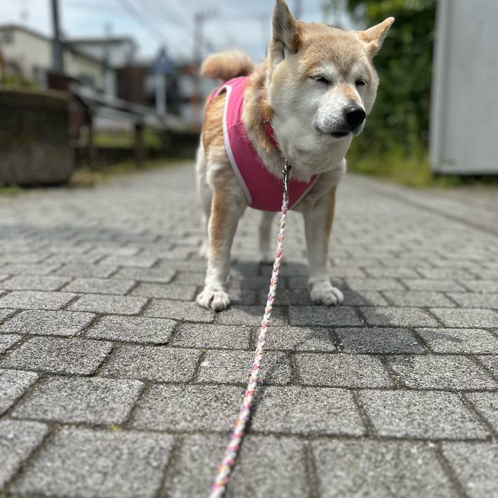 589d2e96 4ae6 4b58 97b7 fe613e1a14cb 1748834622568