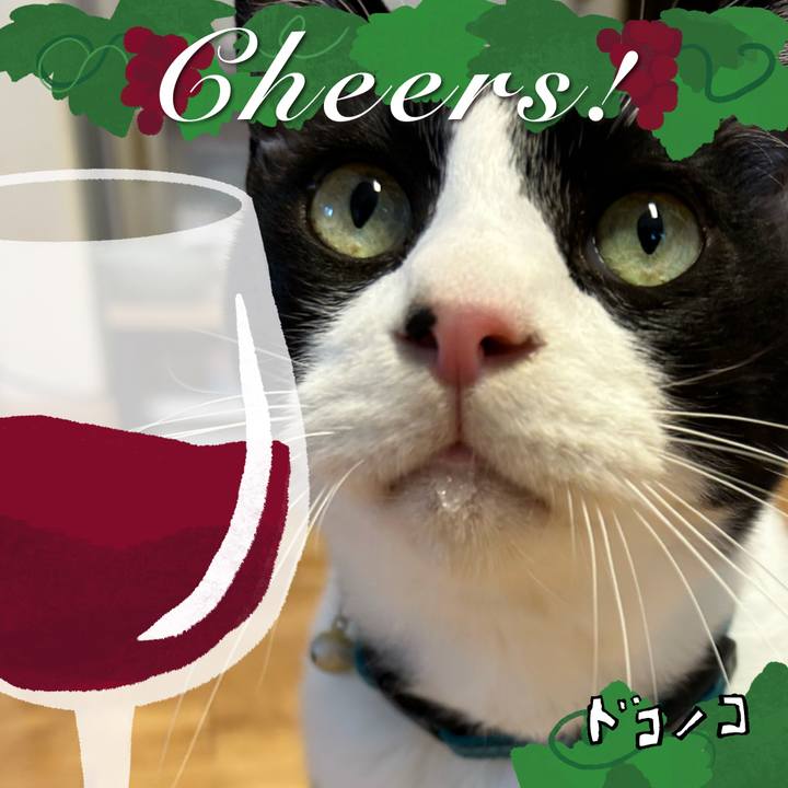 589ddf51 7369 4094 936f 162c56852df2 1761222747557