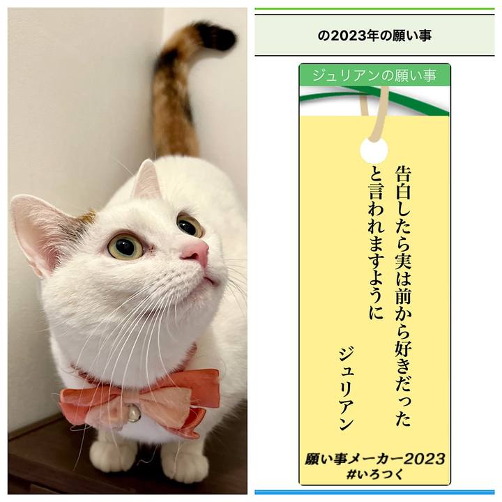 589e17c9 820c 4f6a 9f57 8efc7ccc3708 1688684747794