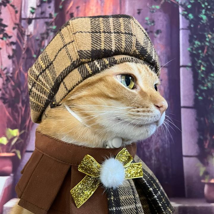 589e2892 42a5 49ab a4a2 c89b48814d7a 1738105973727