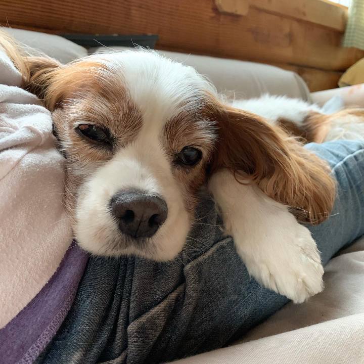 589eaebf 9572 4409 b774 62dd20b78686 1571957869653