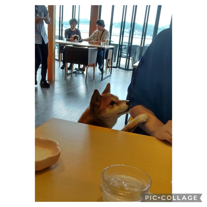 589ecc10 7fdc 443b 9966 069d98543352 1714367456581