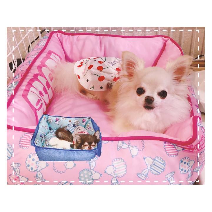 589ede2f 89db 4fe4 a0ed cb6f3e601e22 1596457928139