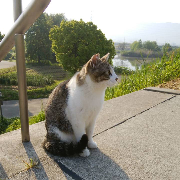 589ee977 be73 4b58 90eb 636e503840ea 1525131832629