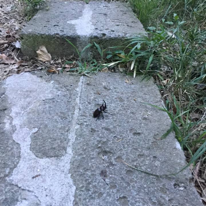 589f02b5 7214 44e4 b913 36b1812951ca 1532611310944