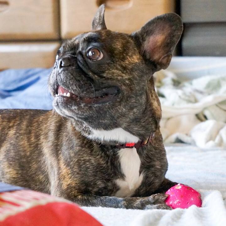 589f5270 ddfe 4ef3 969c f3ac30df9872 1566032939170